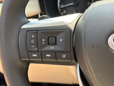 2023 INFINITI QX60 PURE