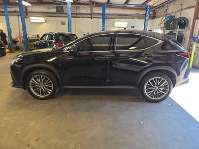 2022 Lexus NX NX 350 Premium