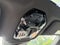 2023 BMW iX xDrive50